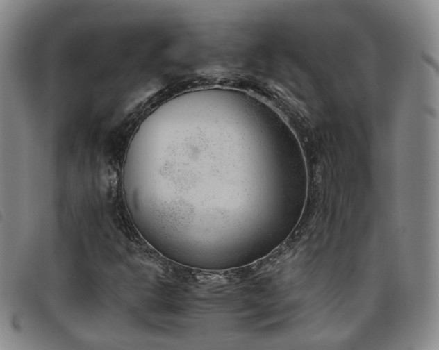 X0000098141302200804241704