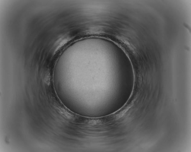 X0000098141306200804241704