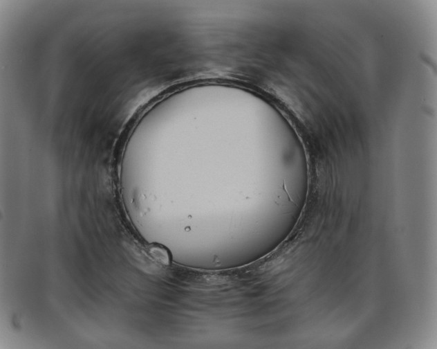 X0000098141308200804241704