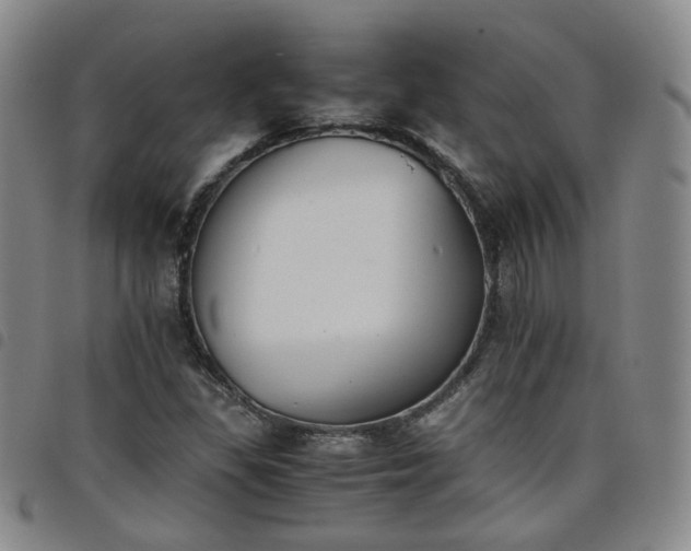 X0000098141309200804241704