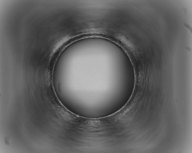 X0000098141310200804241704