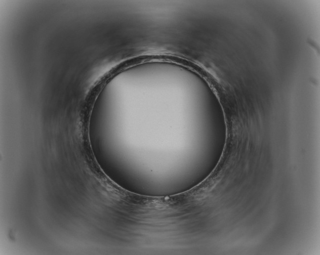 X0000098141311200804241704