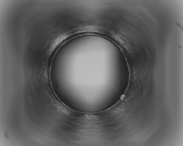 X0000098141312200804241704