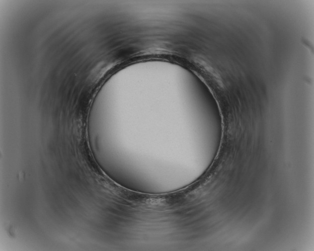 X0000098141313200804241704
