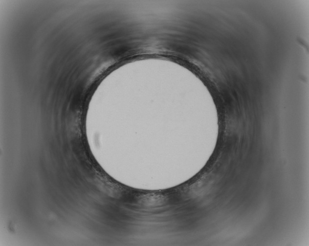 X0000098141314200804241704