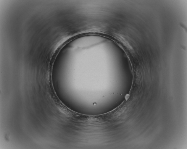 X0000098141316200804241704
