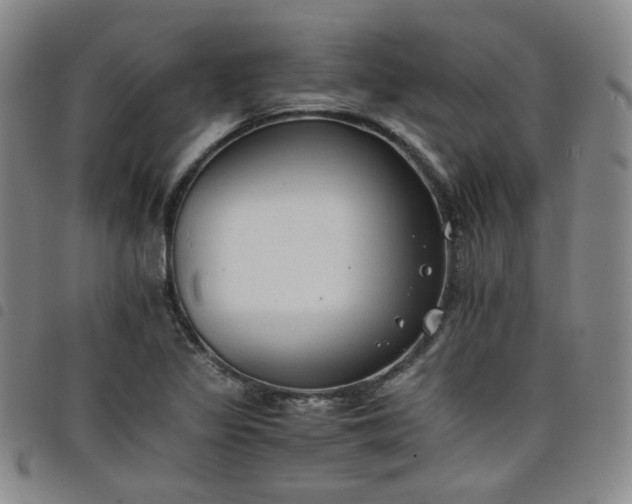 X0000098141317200804241704