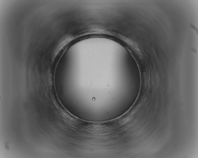 X0000098141318200804241704