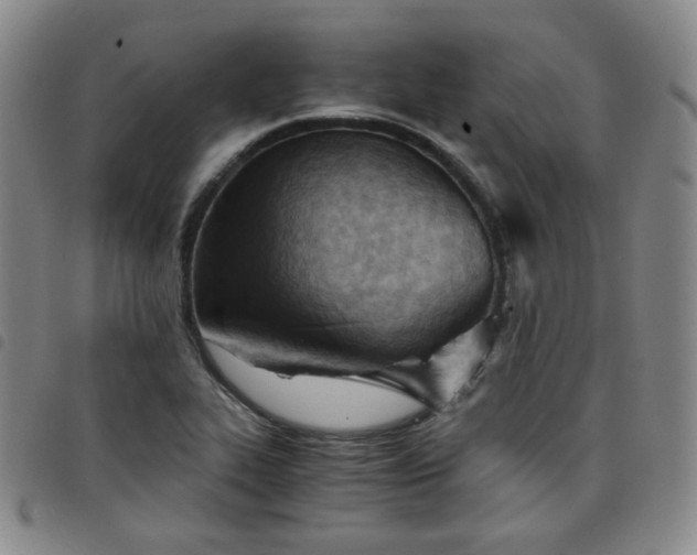 X0000098141319200804241704