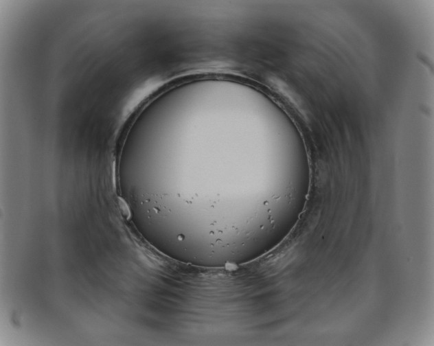 X0000098141320200804241704