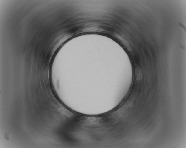 X0000098141322200804241705