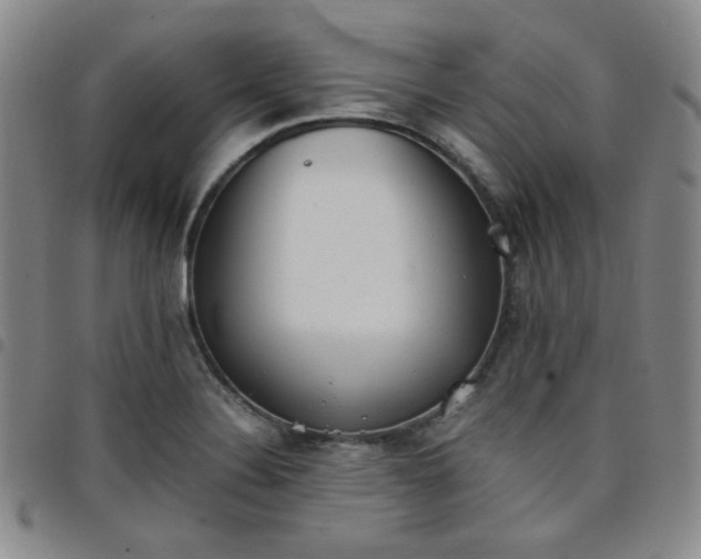 X0000098141324200804241705