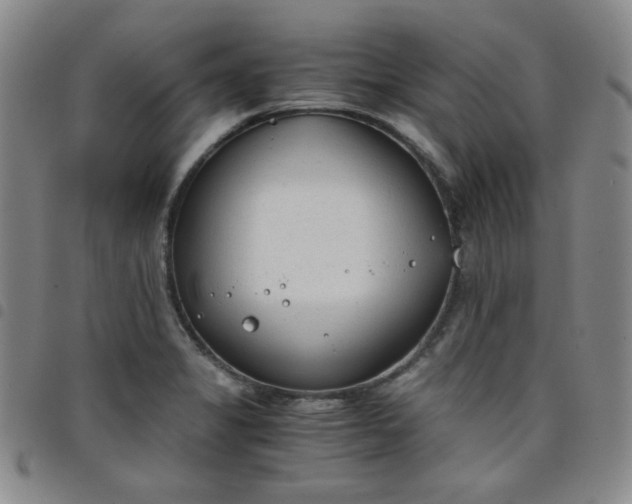 X0000098141325200804241705