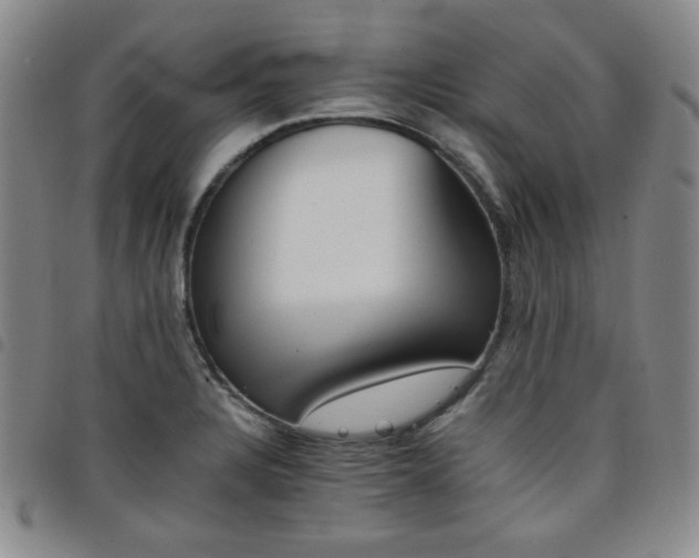 X0000098141328200804241705