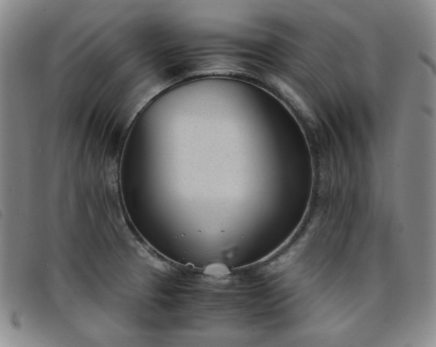 X0000098141329200804241705