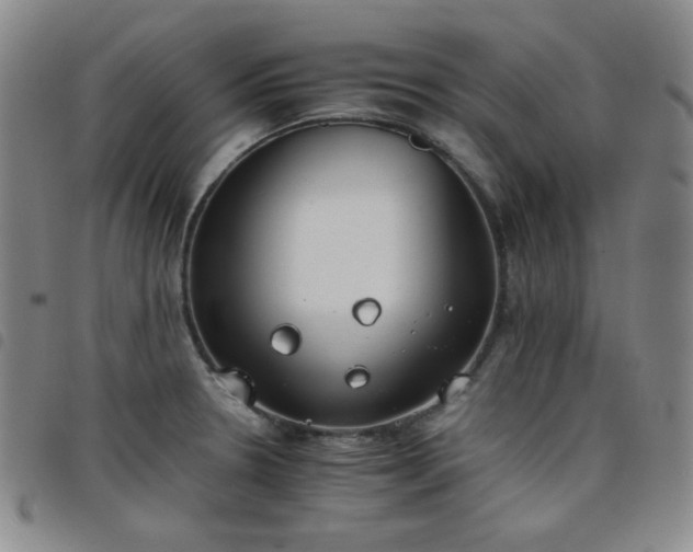X0000098141330200804241705