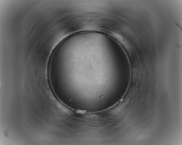 X0000098141331200804241705