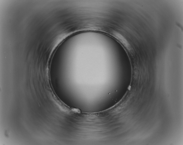 X0000098141332200804241705