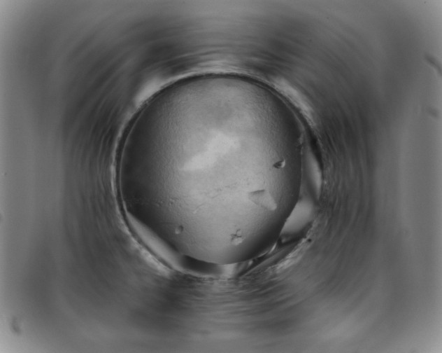 X0000098141334200804241705