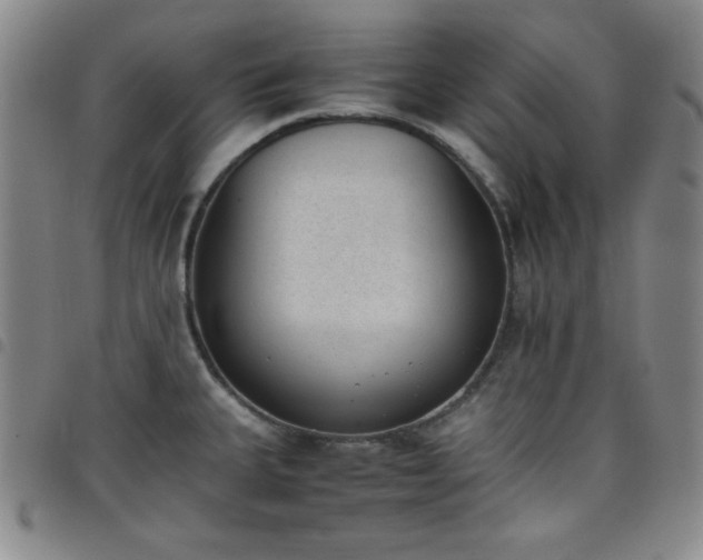 X0000098141335200804241705