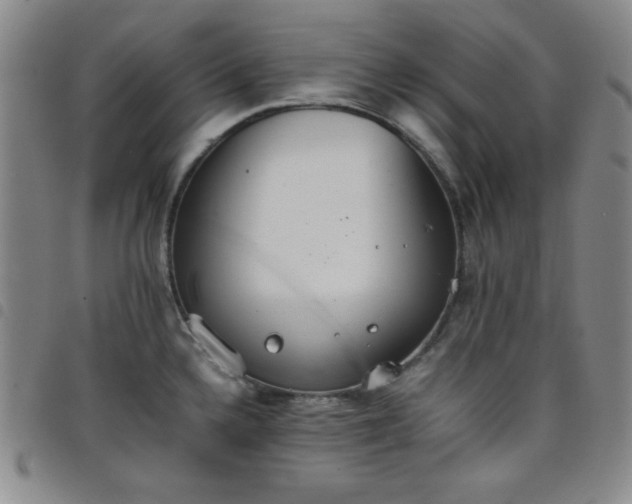 X0000098141336200804241705