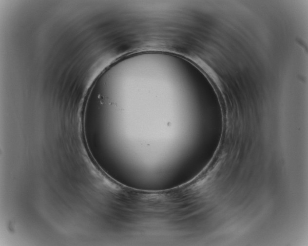 X0000098141341200804241705