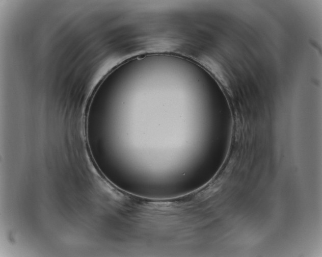 X0000098141342200804241705