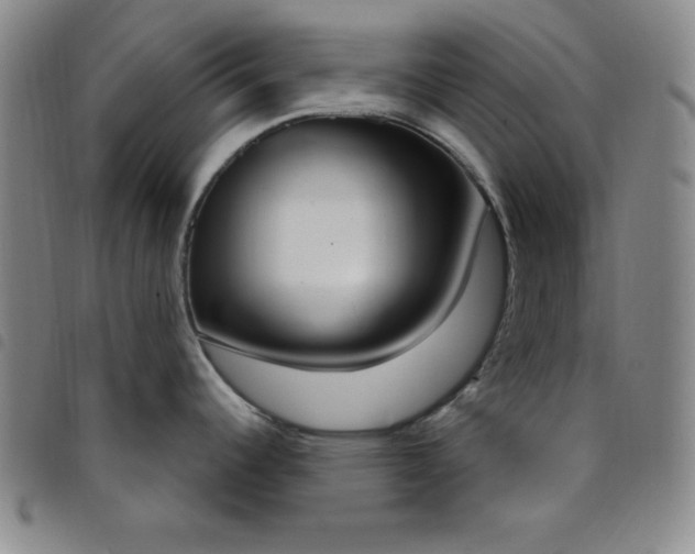 X0000098141344200804241705