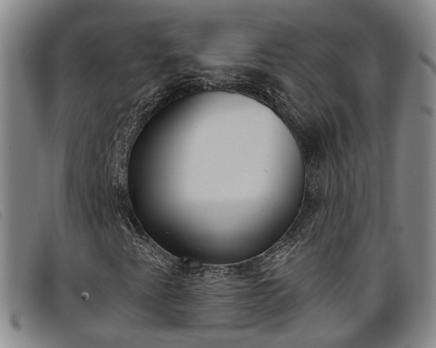 X0000098141345200804241704