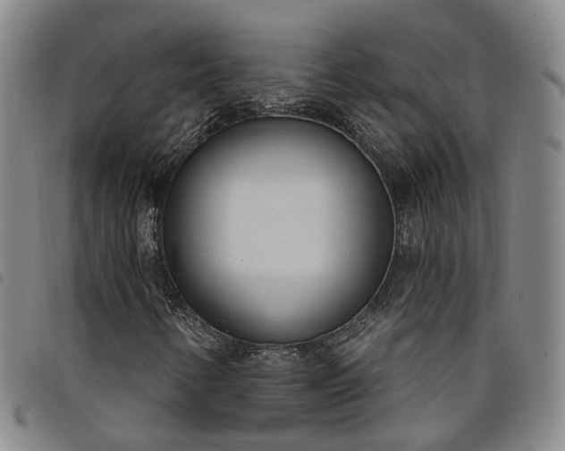 X0000098141346200804241704