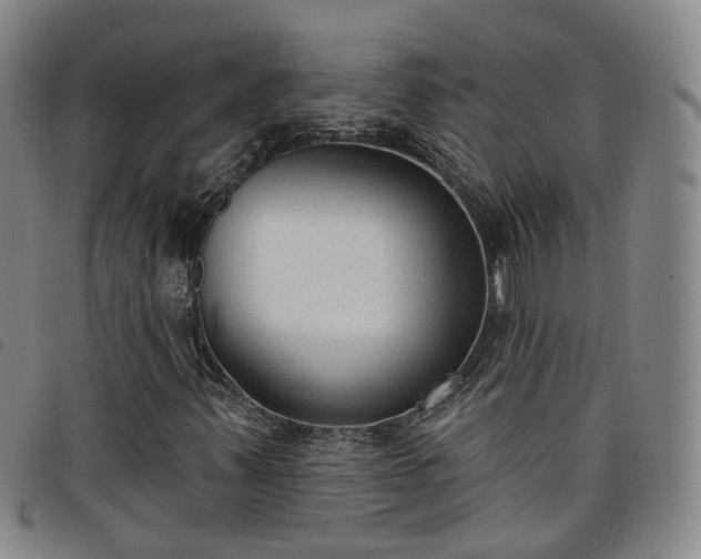 X0000098141347200804241704