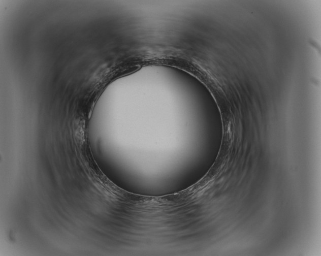 X0000098141348200804241704