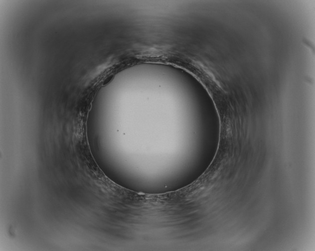 X0000098141350200804241704