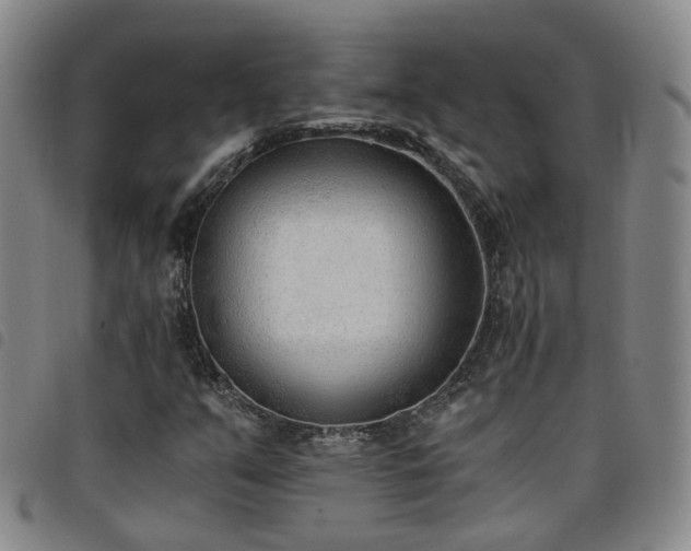 X0000098141351200804241704
