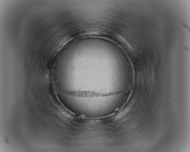 X0000098141353200804241704