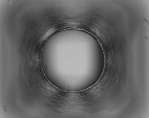 X0000098141354200804241704