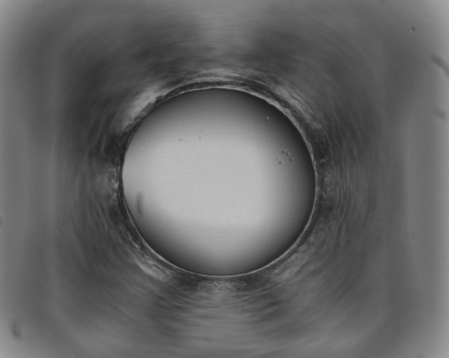 X0000098141355200804241704