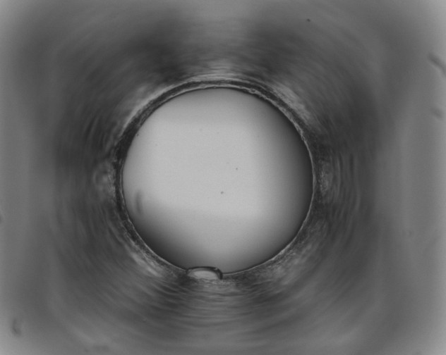 X0000098141356200804241704