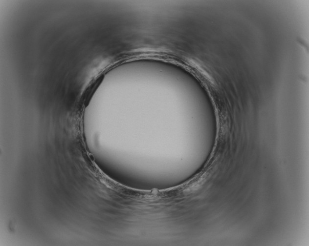 X0000098141357200804241704