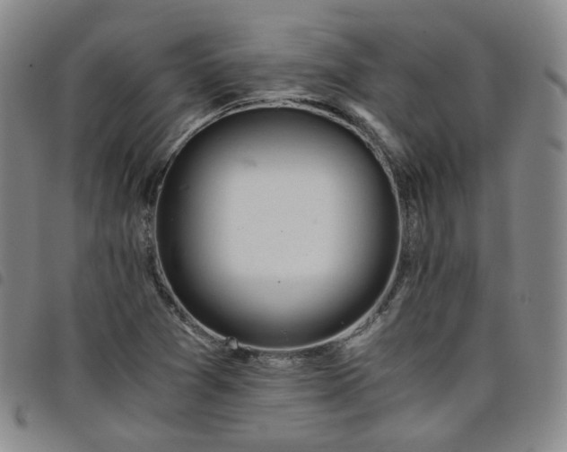 X0000098141361200804241704
