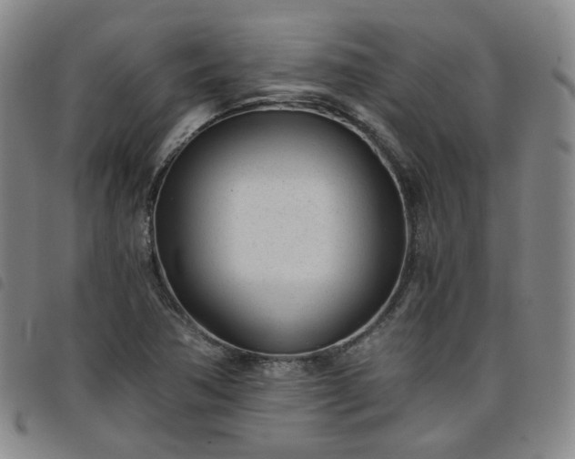 X0000098141362200804241704