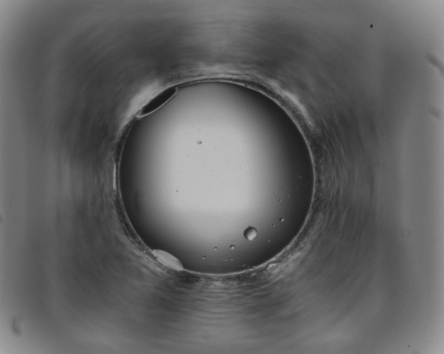 X0000098141365200804241704