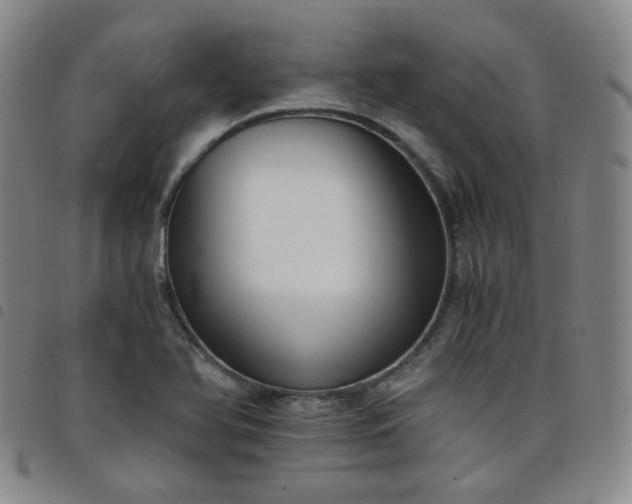 X0000098141366200804241704