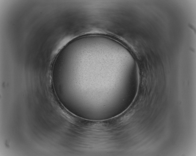 X0000098141367200804241704