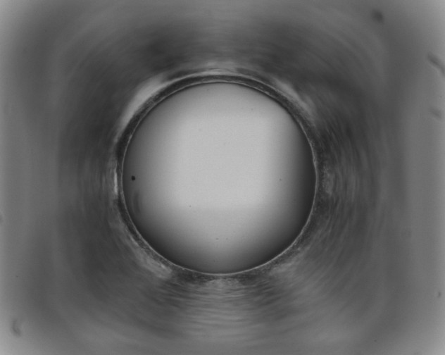 X0000098141368200804241704