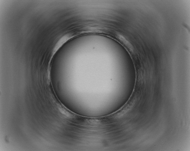 X0000098141370200804241704