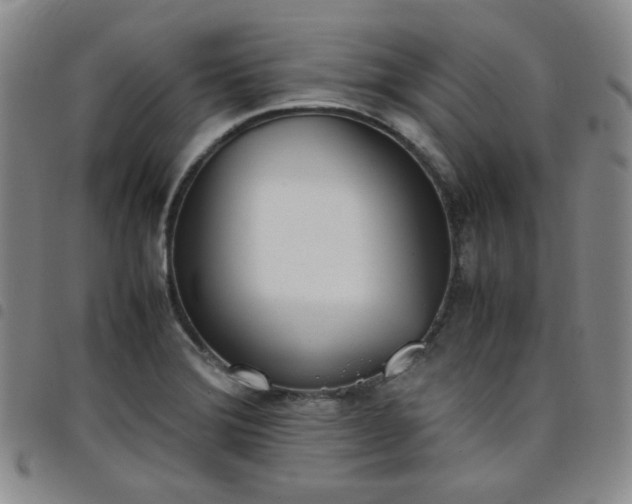 X0000098141372200804241704