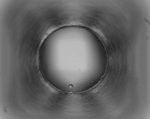 X0000098141374200804241704