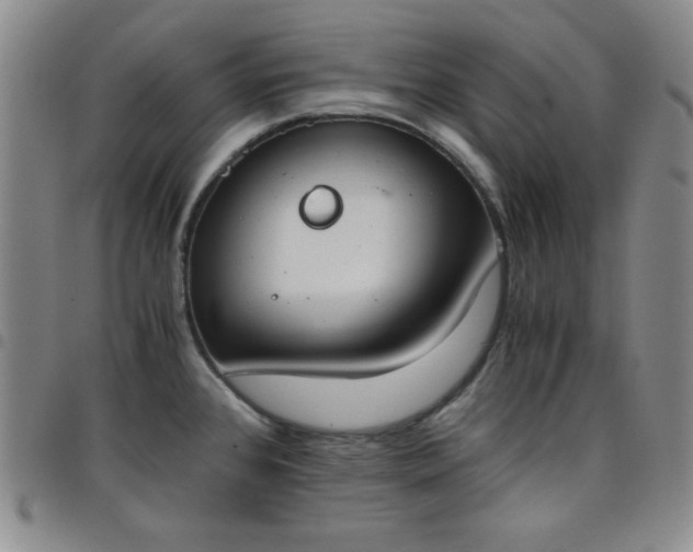 X0000098141384200804241704