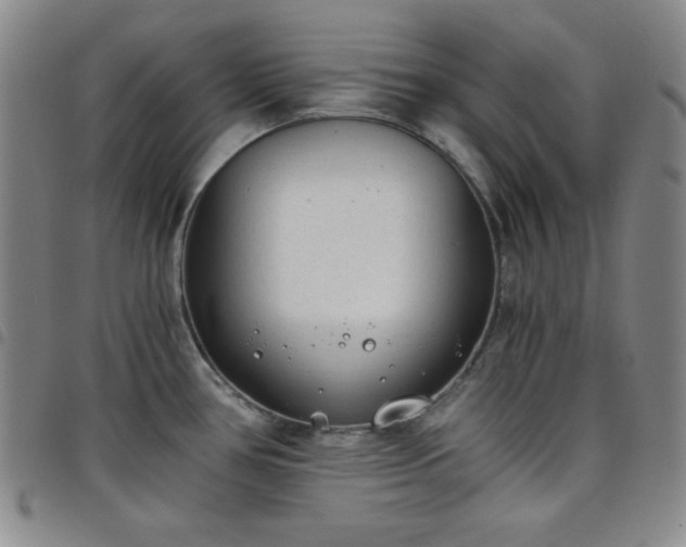 X0000098141386200804241704